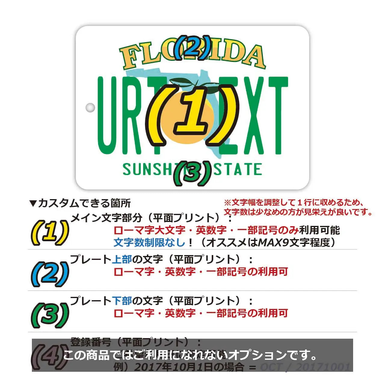 [Mirror Tag] Florida/Original American License Plate Air Freshener