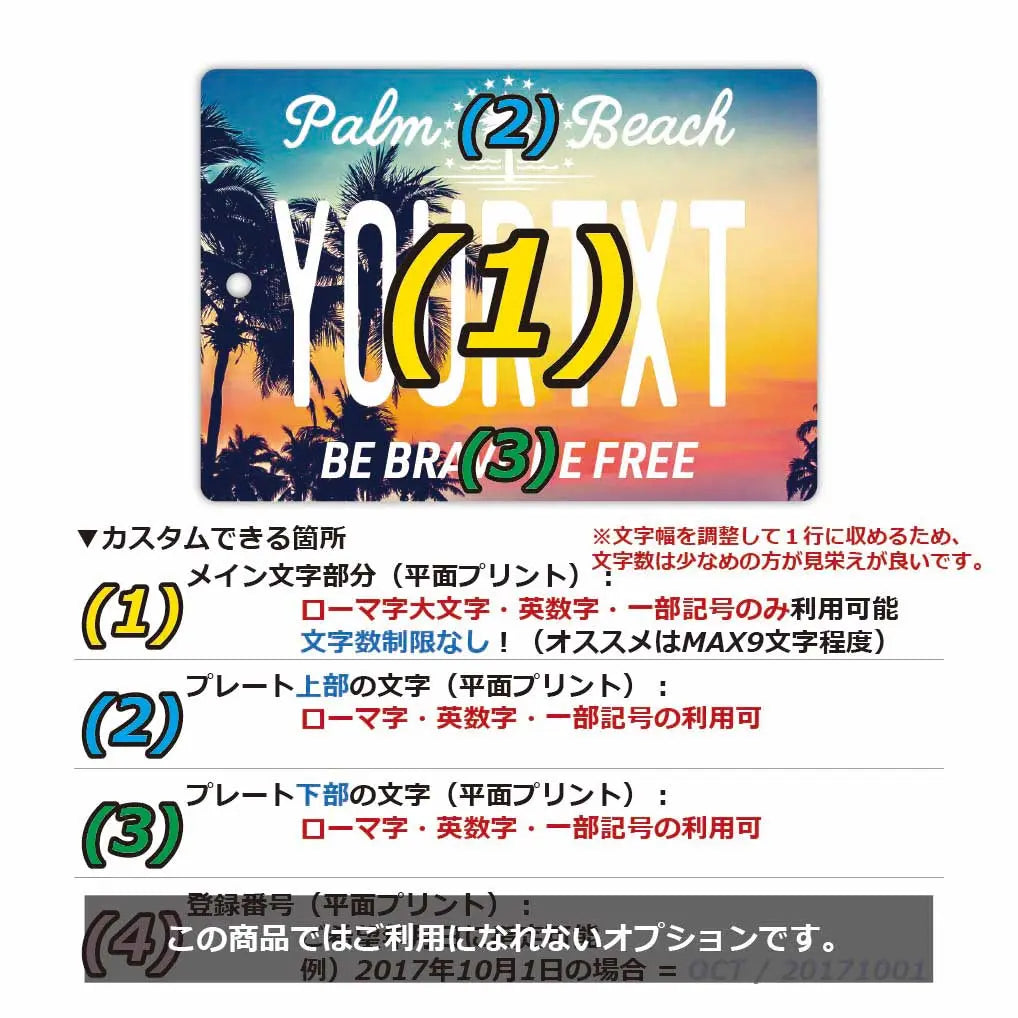 [Mirror Tag] Palm Tree Sunset / Original American License Plate Air Freshener
