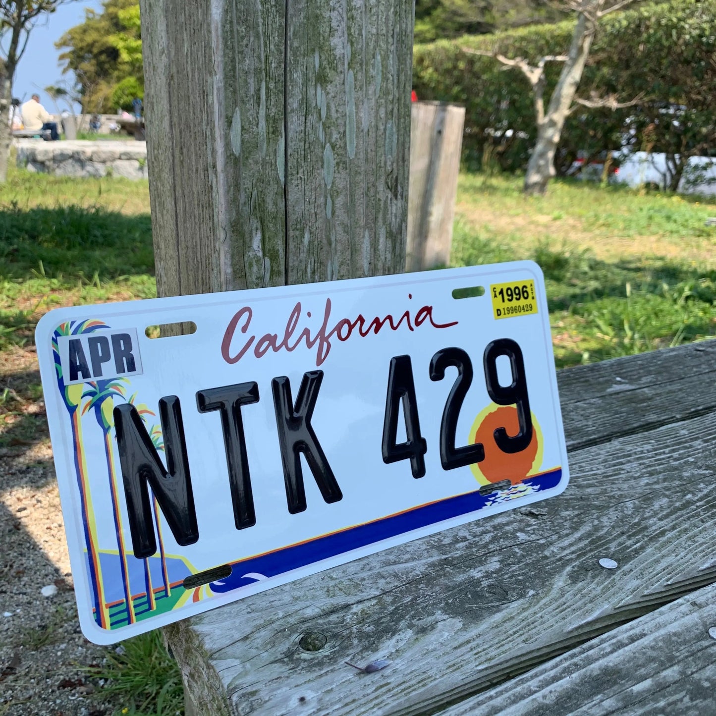 Custom License Plate Sign [Large, for US Cars] California Palm Tree/Original American Embossed License Plate, Stylish Nameplate Sign