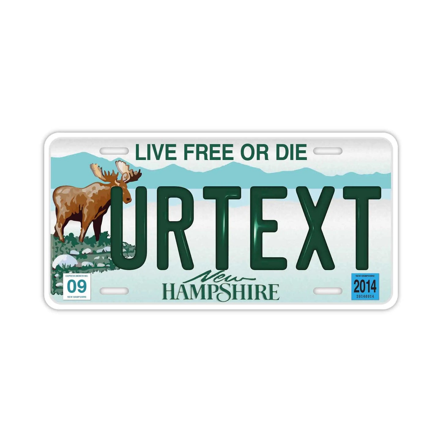 Custom License Plate Sign [Large, for US Cars] New Hampshire/Original American Embossed License Plate, Stylish Nameplate