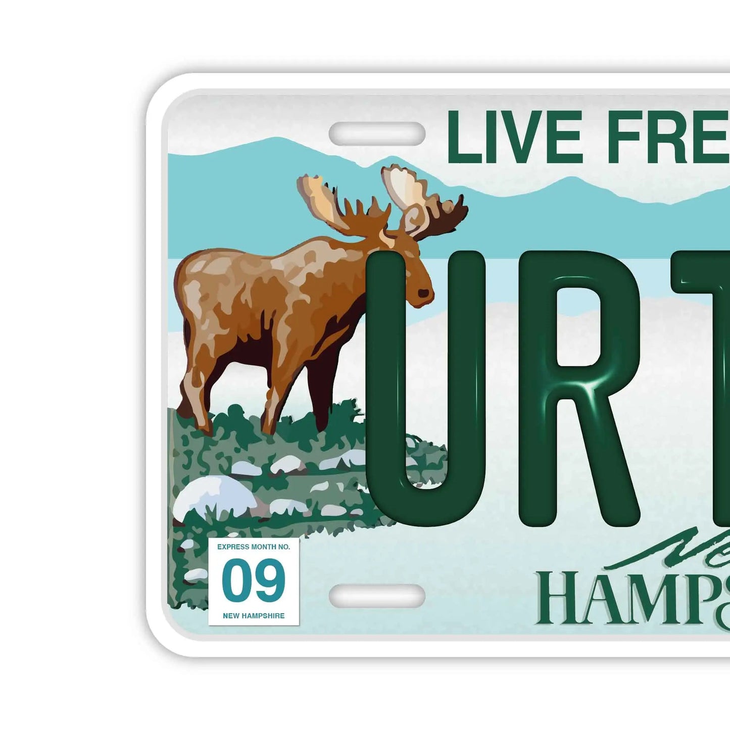 Custom License Plate Sign [Large, for US Cars] New Hampshire/Original American Embossed License Plate, Stylish Nameplate
