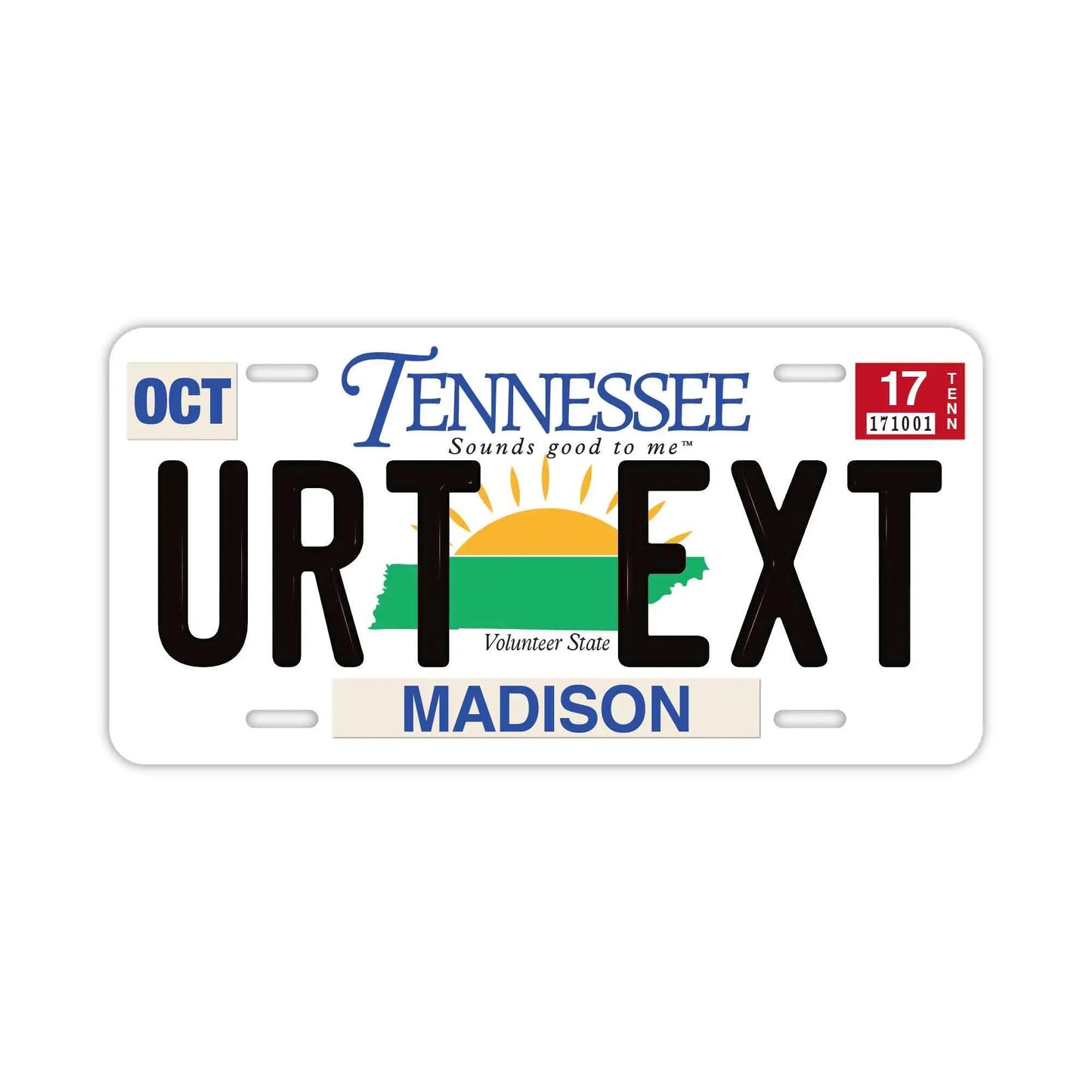 Custom License Plate Sign [Large, for US Cars] Tennessee/Original American Embossed License Plate, Stylish Nameplate Sign