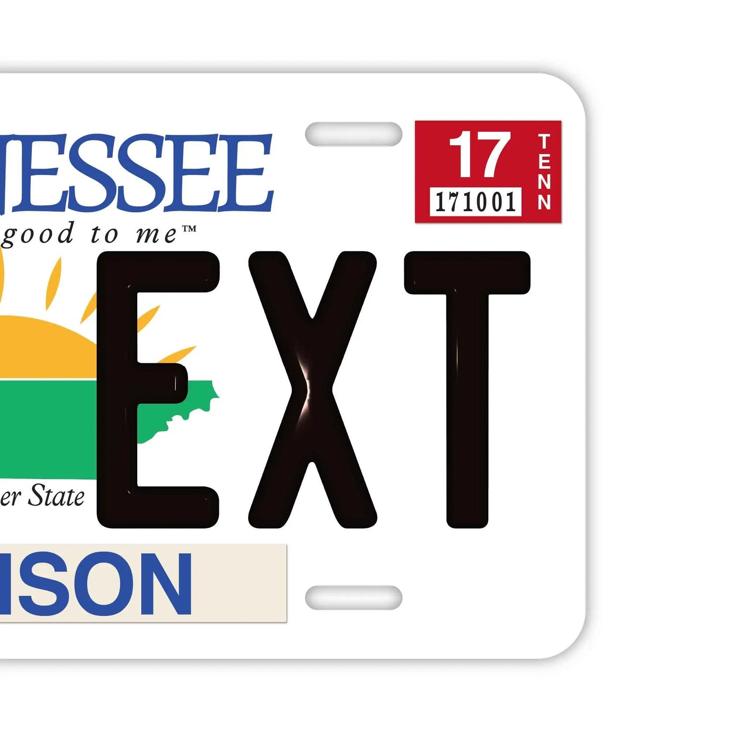 Custom License Plate Sign [Large, for US Cars] Tennessee/Original American Embossed License Plate, Stylish Nameplate Sign
