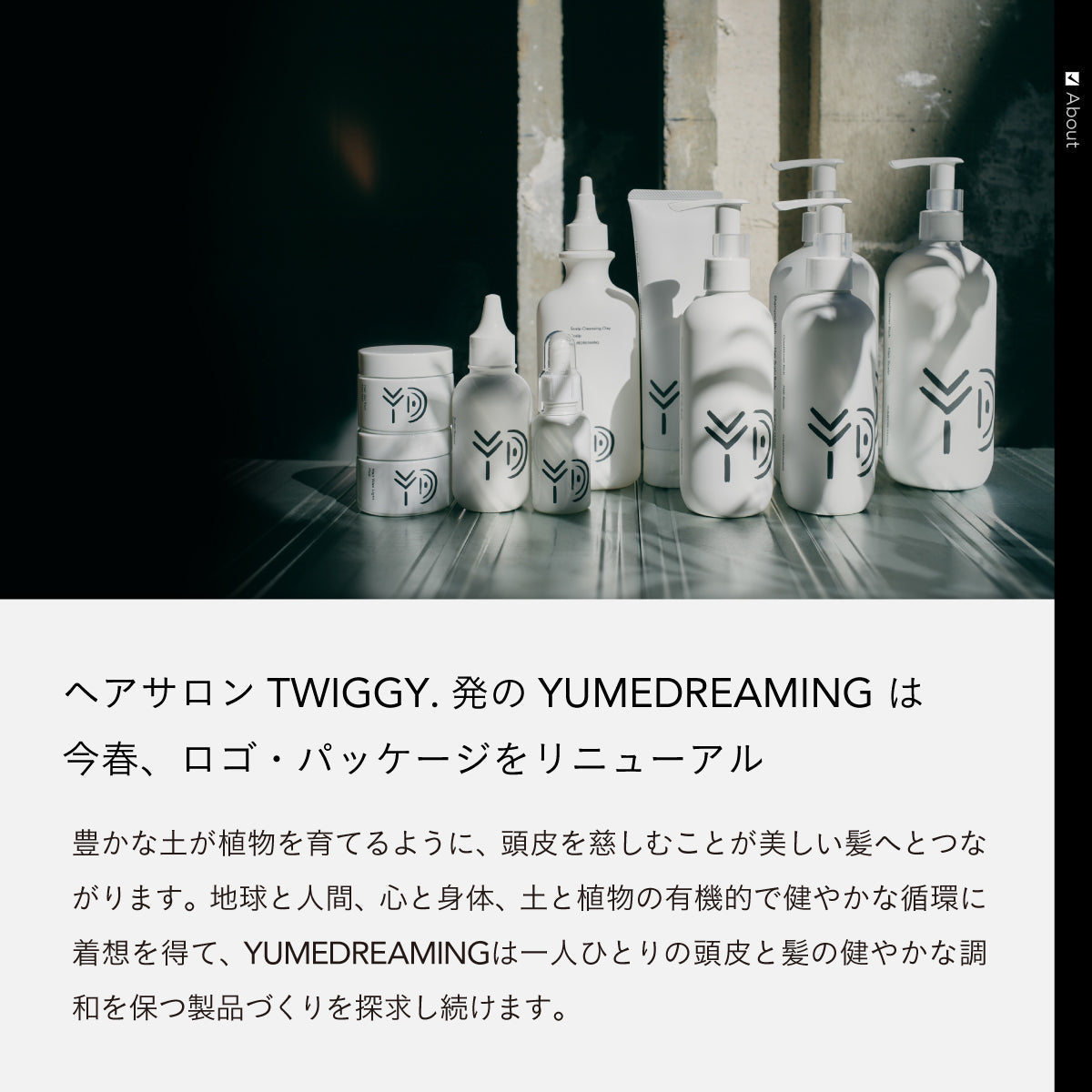 YUMEDREAMING ヘアワックス ライト 40g