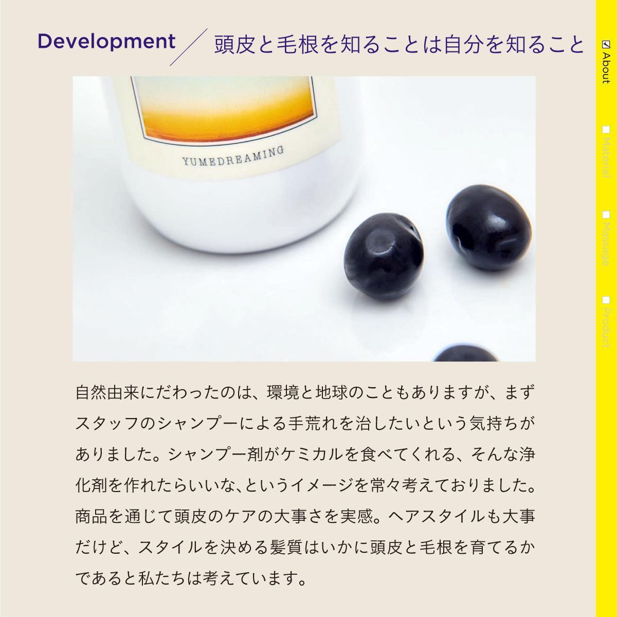 YUMEDREAMING トリートメント ライト 250ml