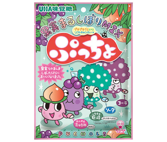 UHA味覚糖 ぷっちょ袋 4種アソート 88g×6個入【日本出荷】