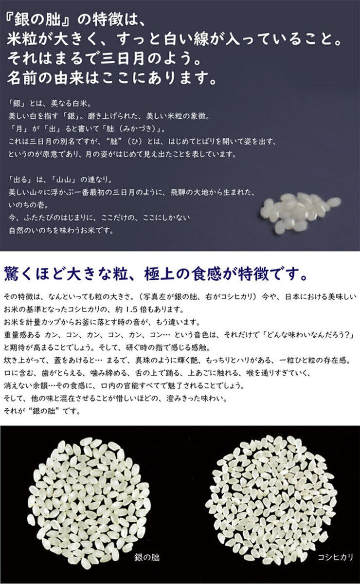 南大阪米穀 【令和7年度産】精米 銀の朏(みかづき) 岐阜県飛騨 特別栽培米 5kg×1袋入【日本出荷】
