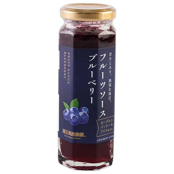 和歌山産業 フルーツソース ブルーベリー 160g×12本入【日本出荷】