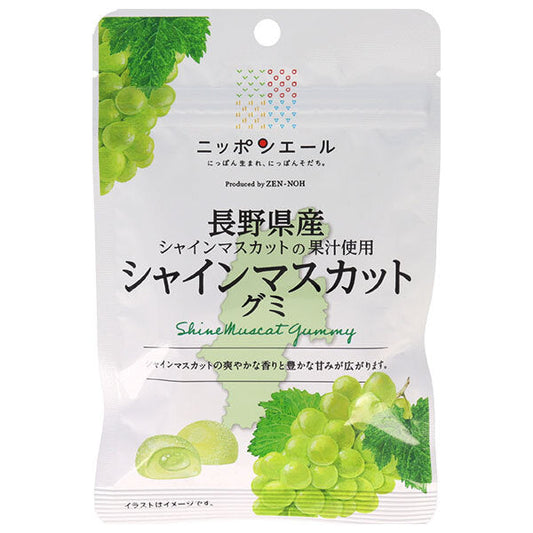 JA全農 ニッポンエール 長野県産シャインマスカット グミ 40g×10袋入【日本出荷】