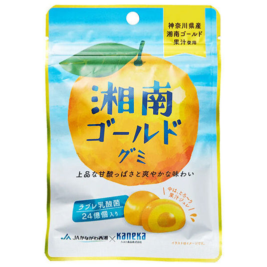 カネカ食品 湘南ゴールドグミ ラブレ乳酸菌入 40g×10袋入【日本出荷】