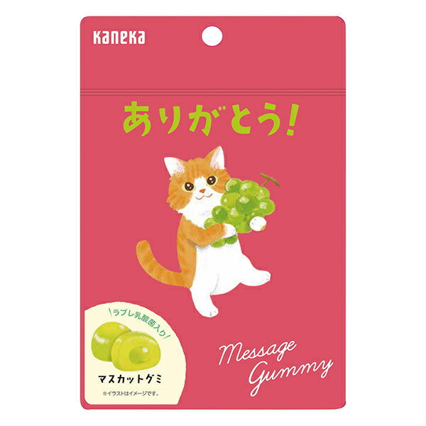Kaneka Foods Message Gummy [Thank You] Muscat Flavor, 40g Bags x 10 [Ships from Japan]