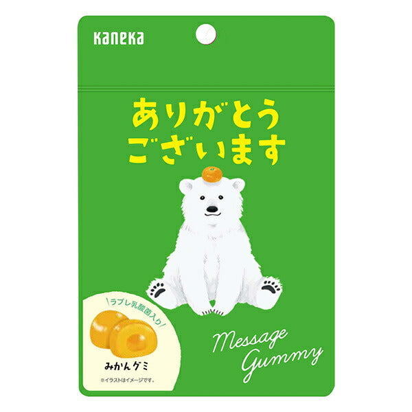 Kaneka Foods Message Gummies [Thank You] Mandarin Orange, 40g Bags x 10 [Ships from Japan]