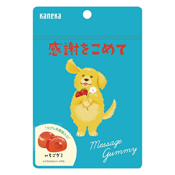 Kaneka Foods Message Gummies - With Gratitude, Strawberry, 40g x 10 Bags [Ships from Japan]