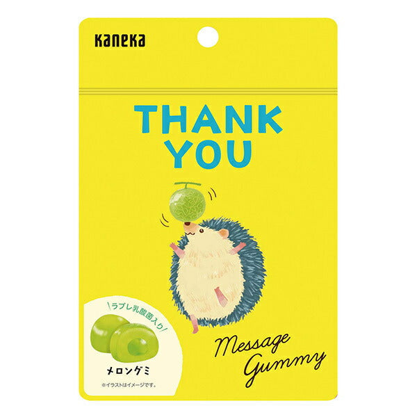 Kaneka Foods Message Gummy THANK YOU Melon 40g Bags x 10 [Ships from Japan]