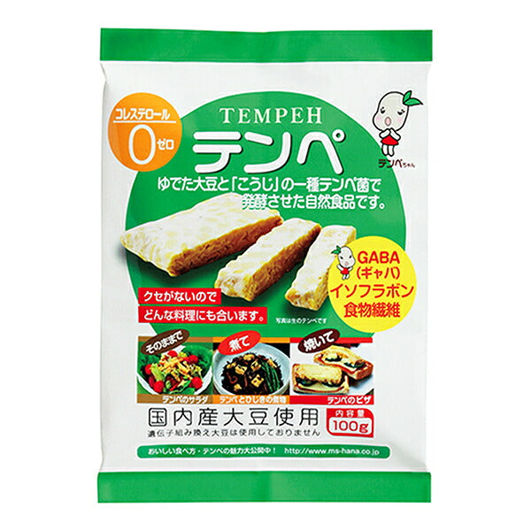 Marushin Foods Tempeh 100g x 10 pieces [shipped in Japan]
