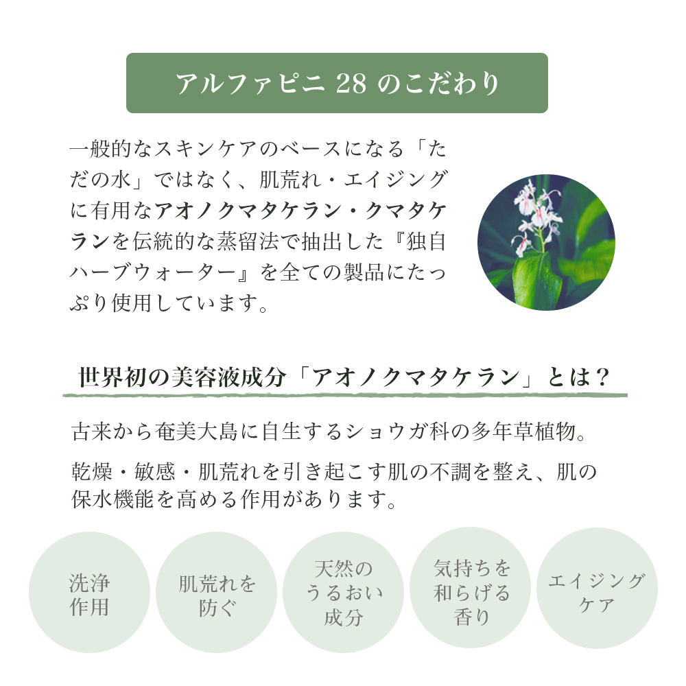 アルファピニ28 コーラルクリアパウダーウォッシュ 40g & ECO泡だてネット