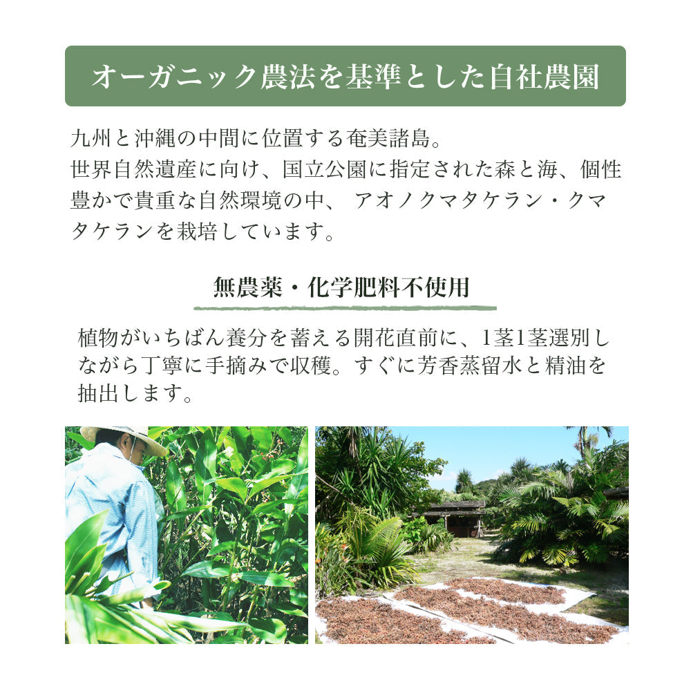 アルファピニ28 コーラルクリアパウダーウォッシュ 40g & ECO泡だてネット