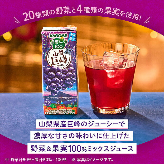 カゴメ 野菜生活100 山梨巨峰ミックス 195ml紙パック×24本入【日本出荷】