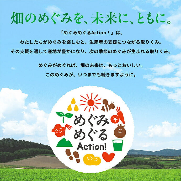 カゴメ 野菜生活100 山梨巨峰ミックス 195ml紙パック×24本入【日本出荷】