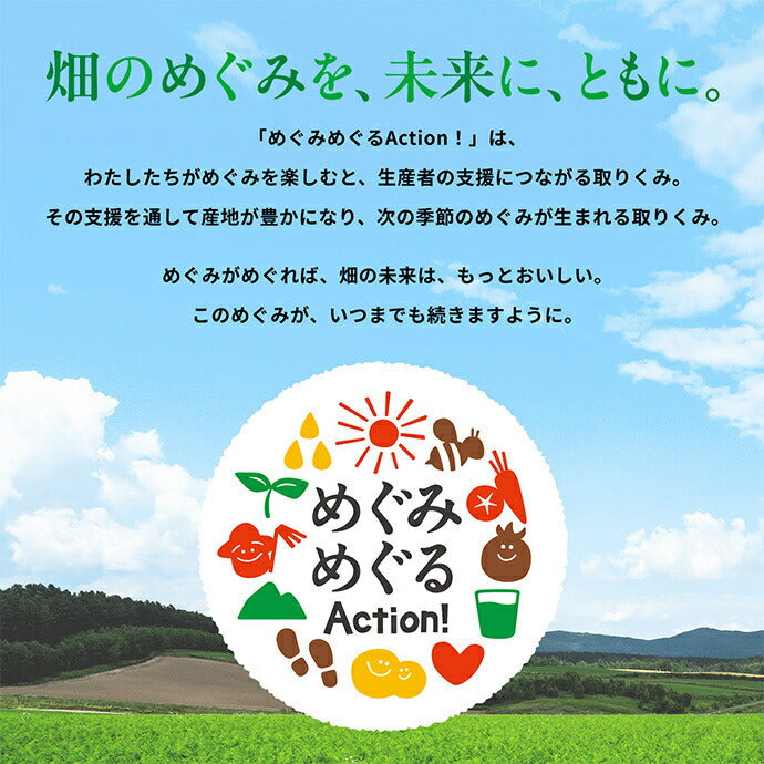 カゴメ 野菜生活100 沖縄シークヮーサーミックス 195ml紙パック×24本入【日本出荷】