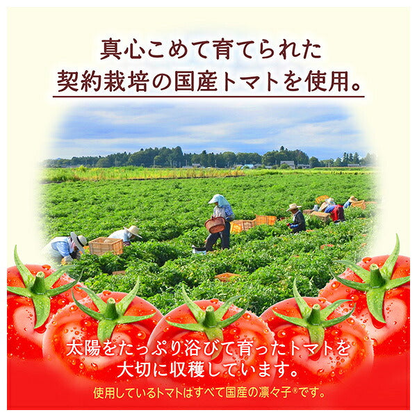 カゴメ 野菜生活100 太陽のトマトMix 200ml紙パック×24本入【日本出荷】