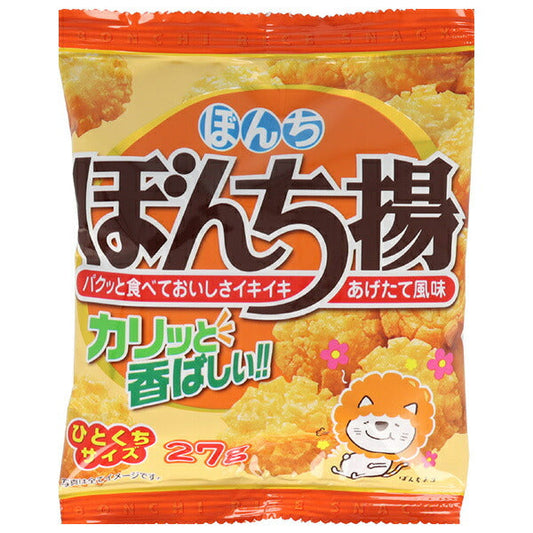 ぼんち ぼんち揚 27g×20袋入【日本出荷】