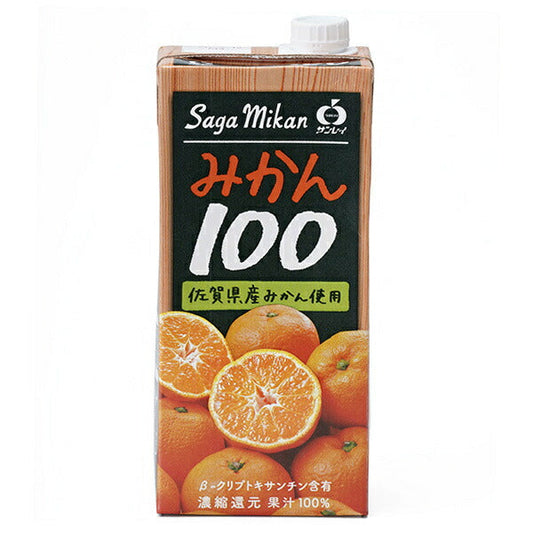 JAビバレッジ佐賀 みかん100 1L紙パック×6本入【日本出荷】
