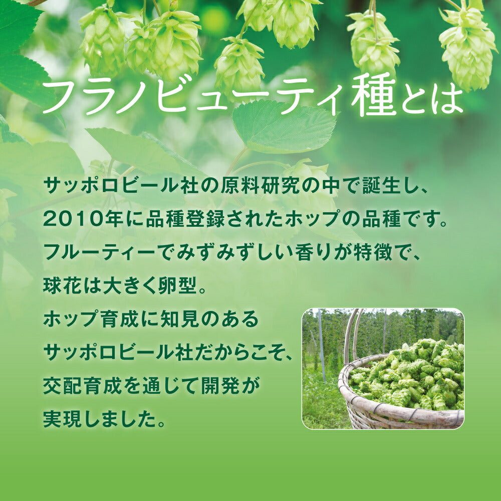 Pokka Sapporo Hokkaido Furano Hop Carbonated Water 500ml PET bottle x 24 bottles [Shipped in Japan]