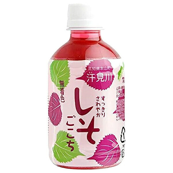 Sameura Foods Refreshing Shiso Gokochi 280ml PET x 24 pieces [Shipped in Japan]