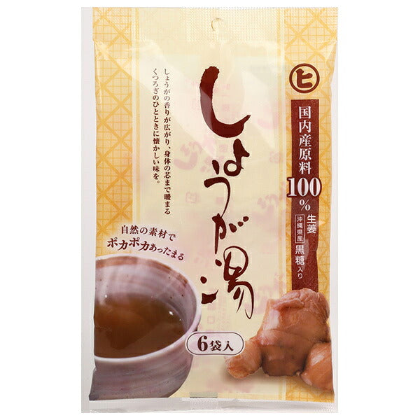 樋口製菓 しょうが湯 平袋 (20g×6袋)×20個入【日本出荷】