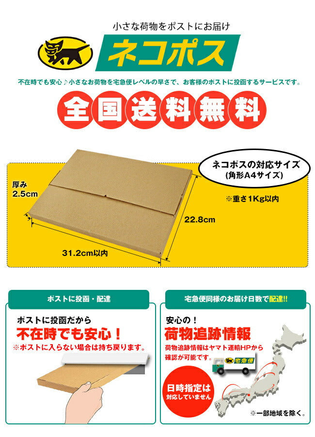 Morinaga & Co. in Bar Junior Protein Cocoa x 12 bottles [shipped in Japan]