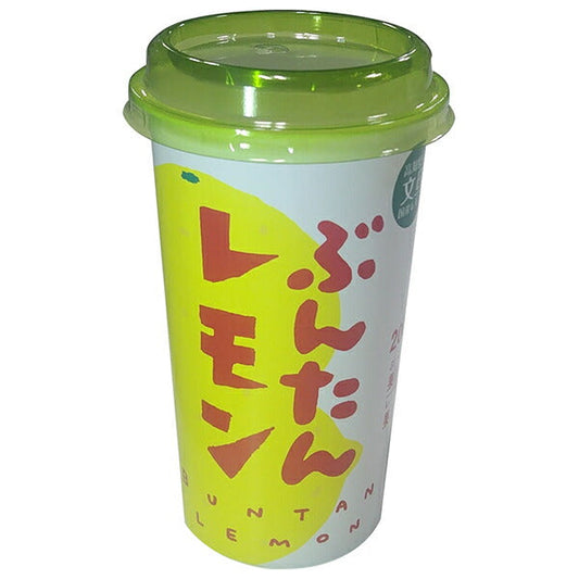 高知アイス ぶんたんレモン 200ml×12本入【日本出荷】