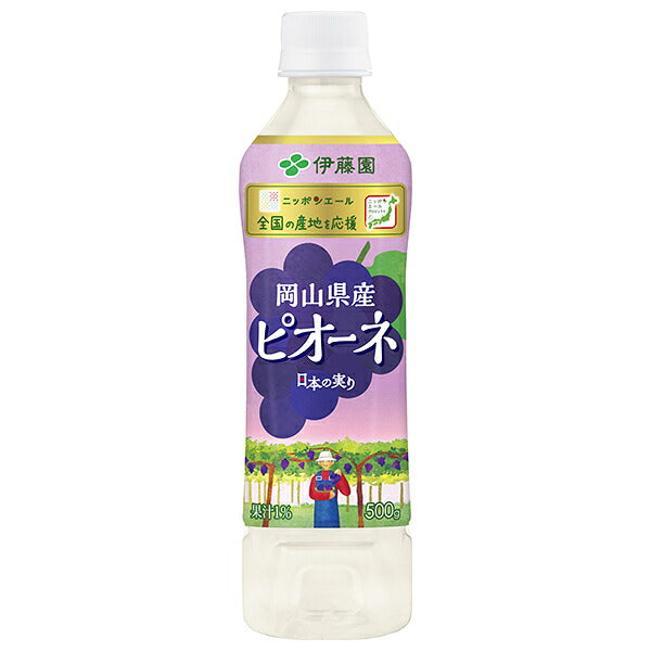 Itoen Nippon Ale Pione from Okayama Prefecture 500g plastic bottle x 24 bottles [shipped in Japan]
