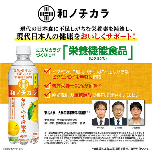 Dydo Wa no Chikara Shunshibori Yuzu Carbonated Water, 500ml PET Bottles x 24 [Ships from Japan] 