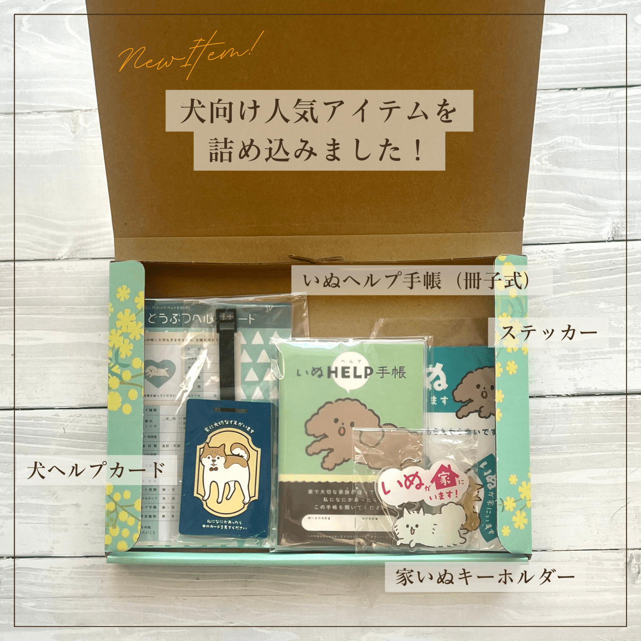 Peace of mind box for living with your dog | Recommended as a gift! A preparation set for your precious dog