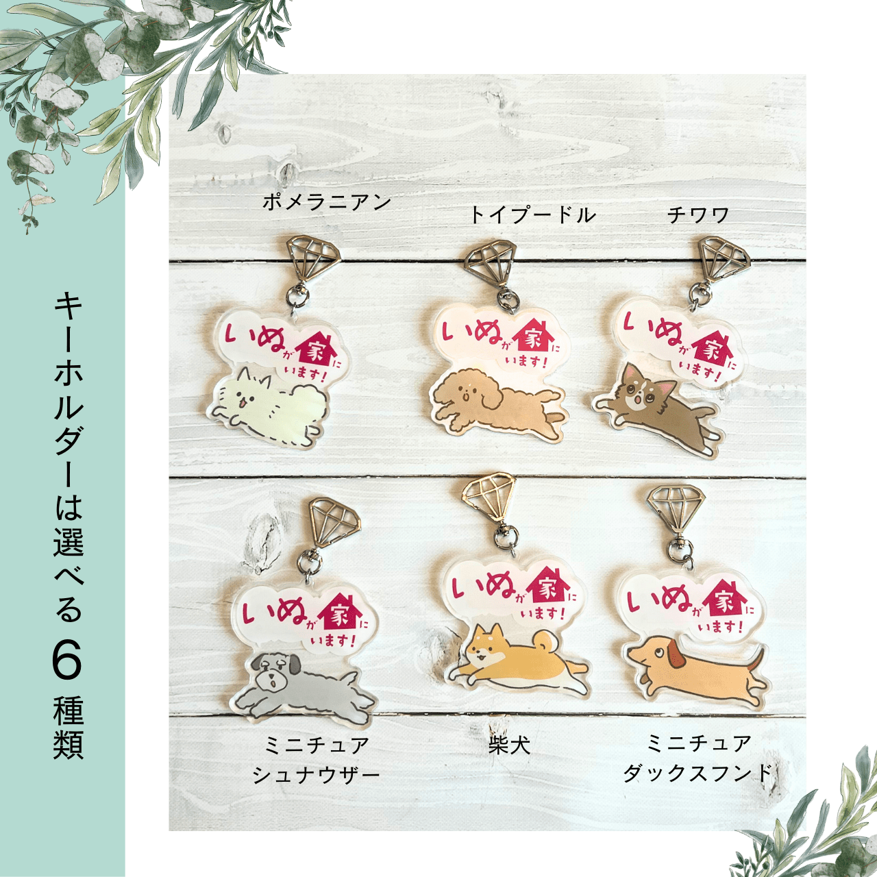Peace of mind box for living with your dog | Recommended as a gift! A preparation set for your precious dog
