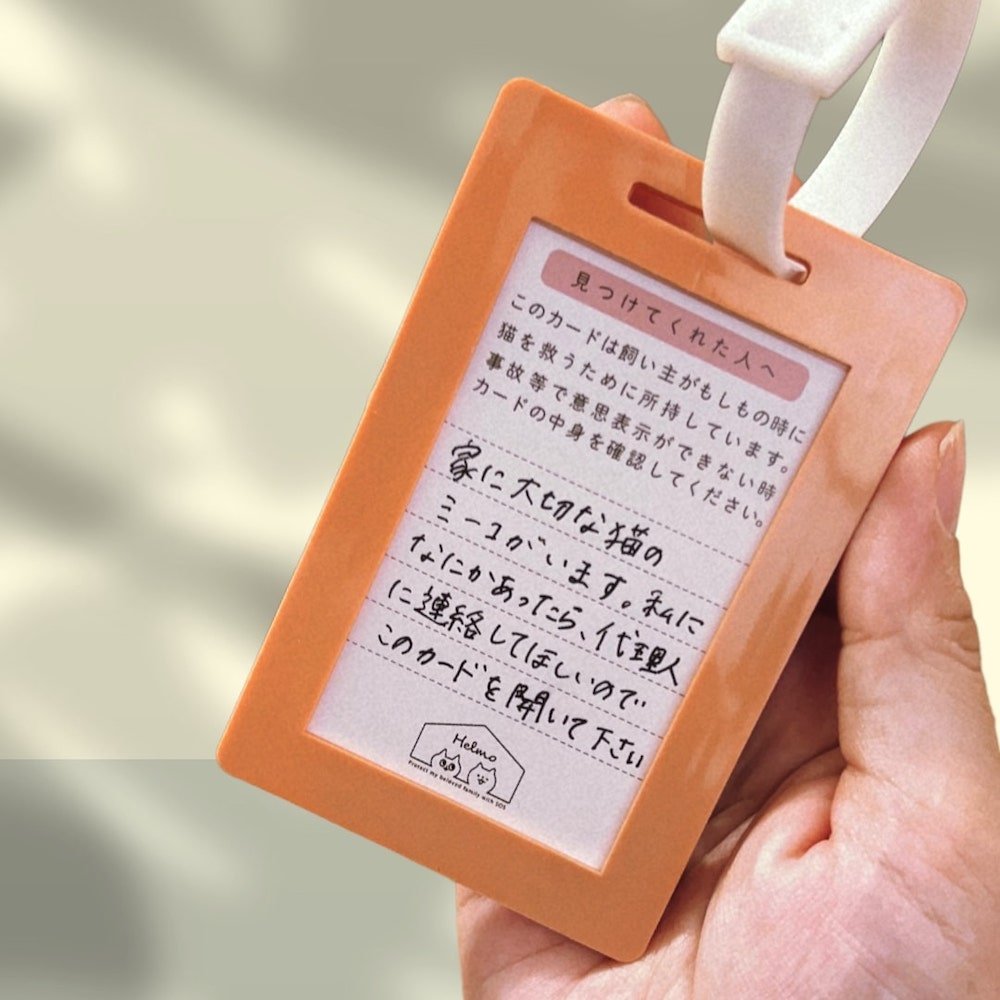 ねことの暮らし安心BOX｜ギフトにもおすすめ！大切な猫のための準備セット