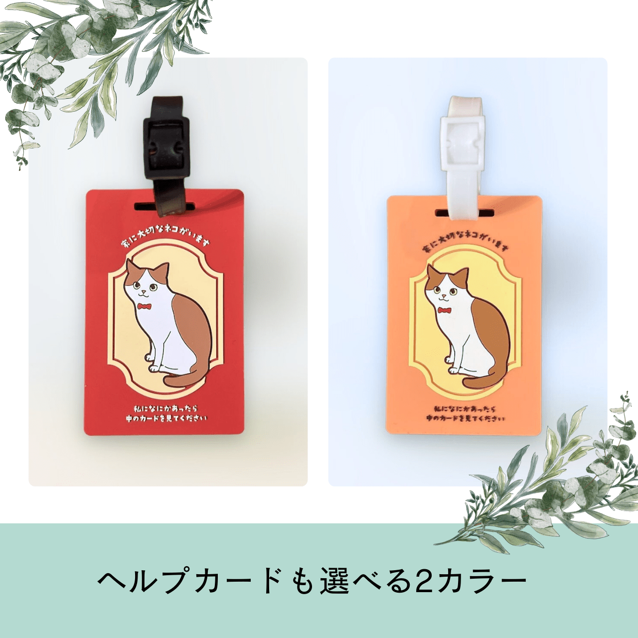 ねことの暮らし安心BOX｜ギフトにもおすすめ！大切な猫のための準備セット