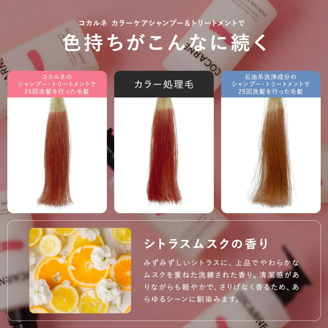 COCARNE Color Care Shampoo 400ml | COCARNE
