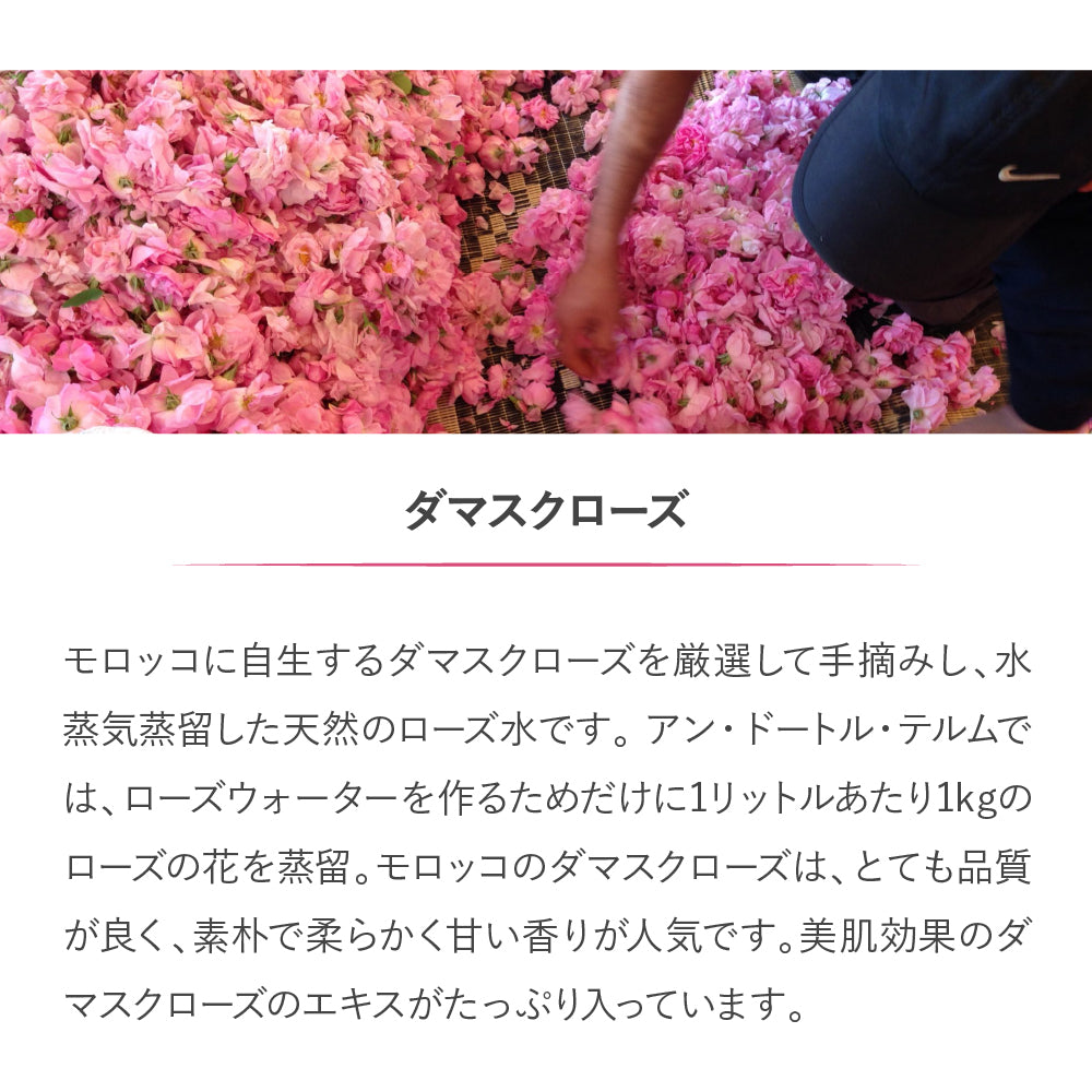 en d'autres thermes(アン・ドートル・テルム)ローズウォーター 100ml