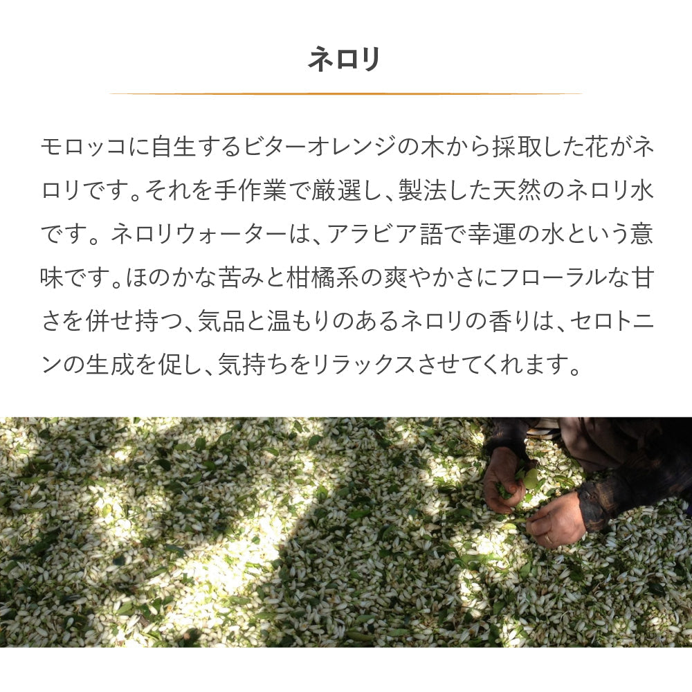 en d'autres thermes デイリーケアセット ローズ