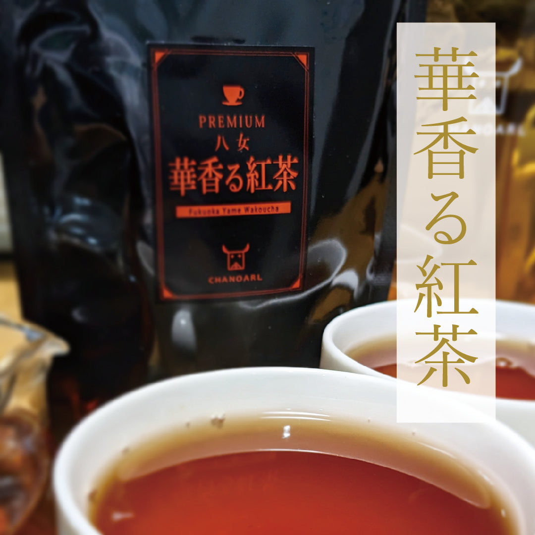CHANOARL プレミアム八女茶「華香る紅茶」ティーバッグ