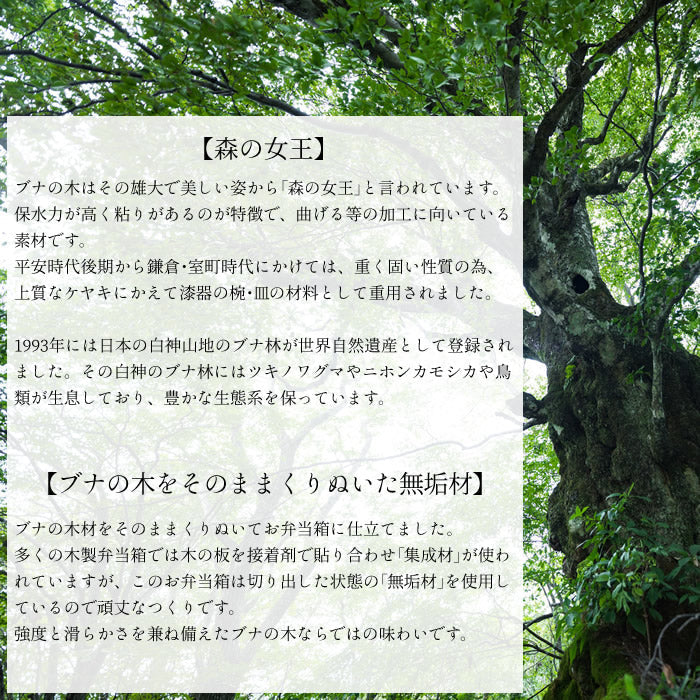 buna 天然木のいきもの 弁当箱 400ml