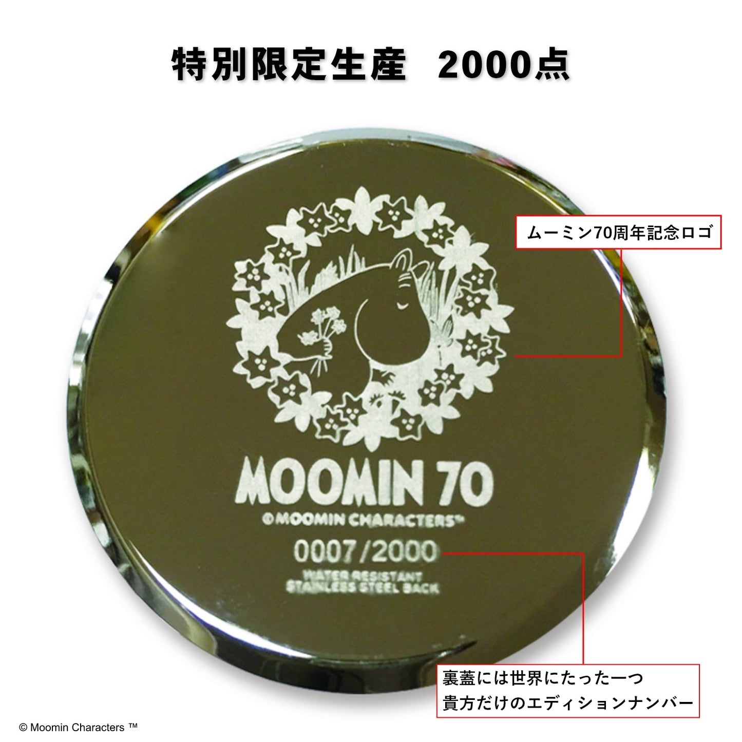 ムーミンキャラクターズ腕時計 70周年記念ダイヤ＆スワロフスキー | ムーミン
