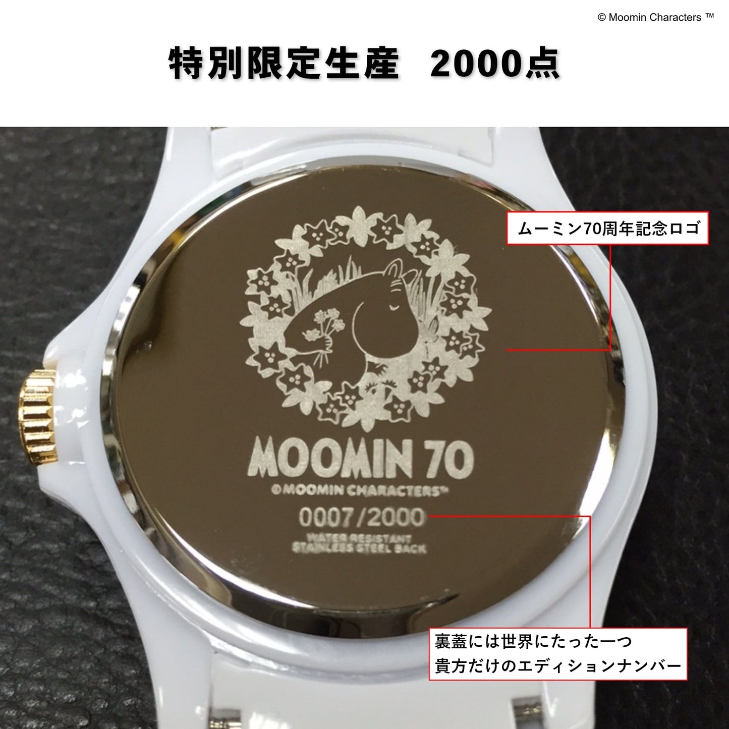 ムーミンキャラクターズ腕時計 70周年記念ハイブリット | スナフキン