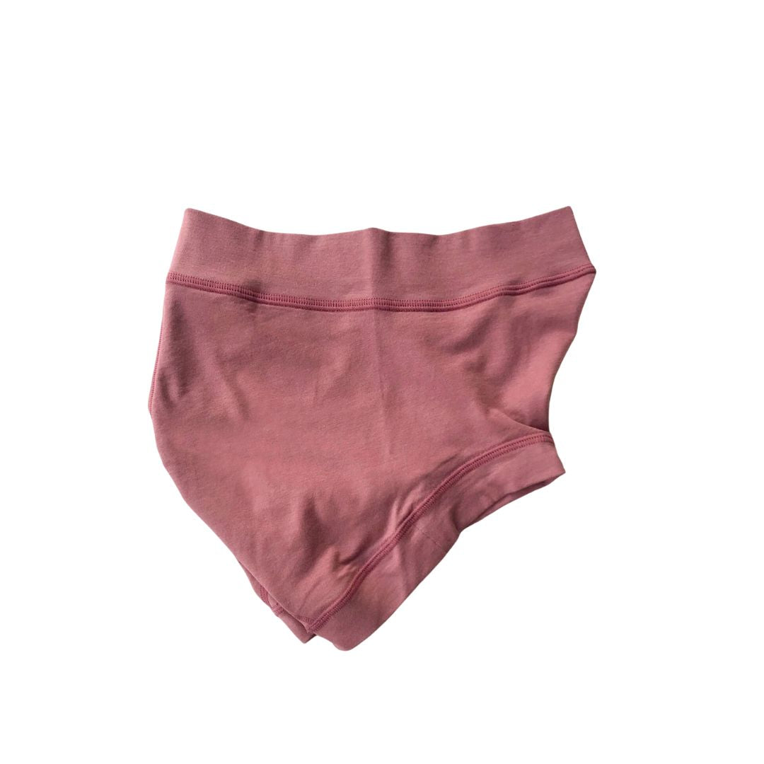 SISI FILLE PERIOD SHORTS (生理用ショーツ)ナイトブルー Lサイズ2枚セット
