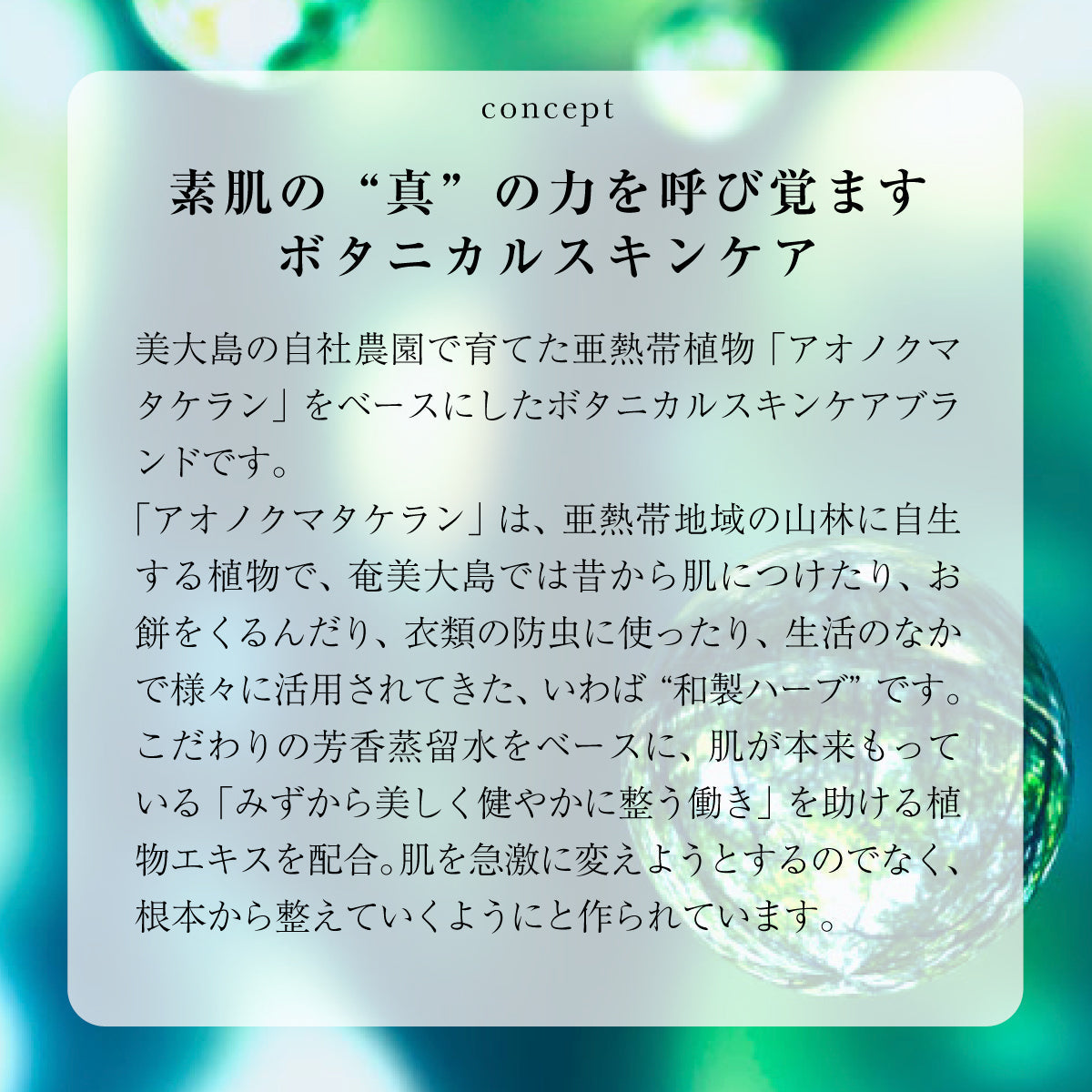 アルファピニ 28 コンセントレートクリーム 45g