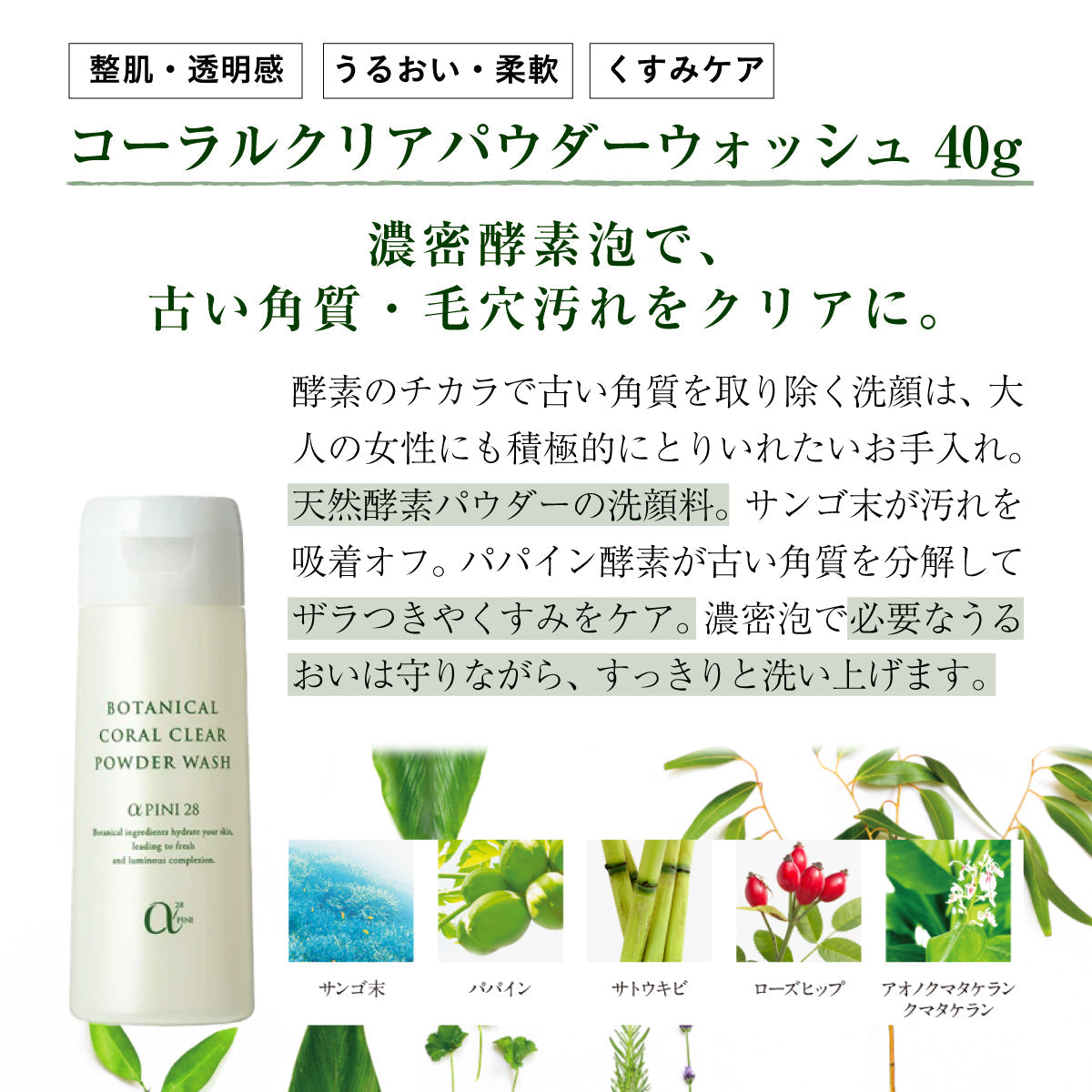 アルファピニ28 コーラルクリアパウダーウォッシュ 40g & ECO泡だてネット