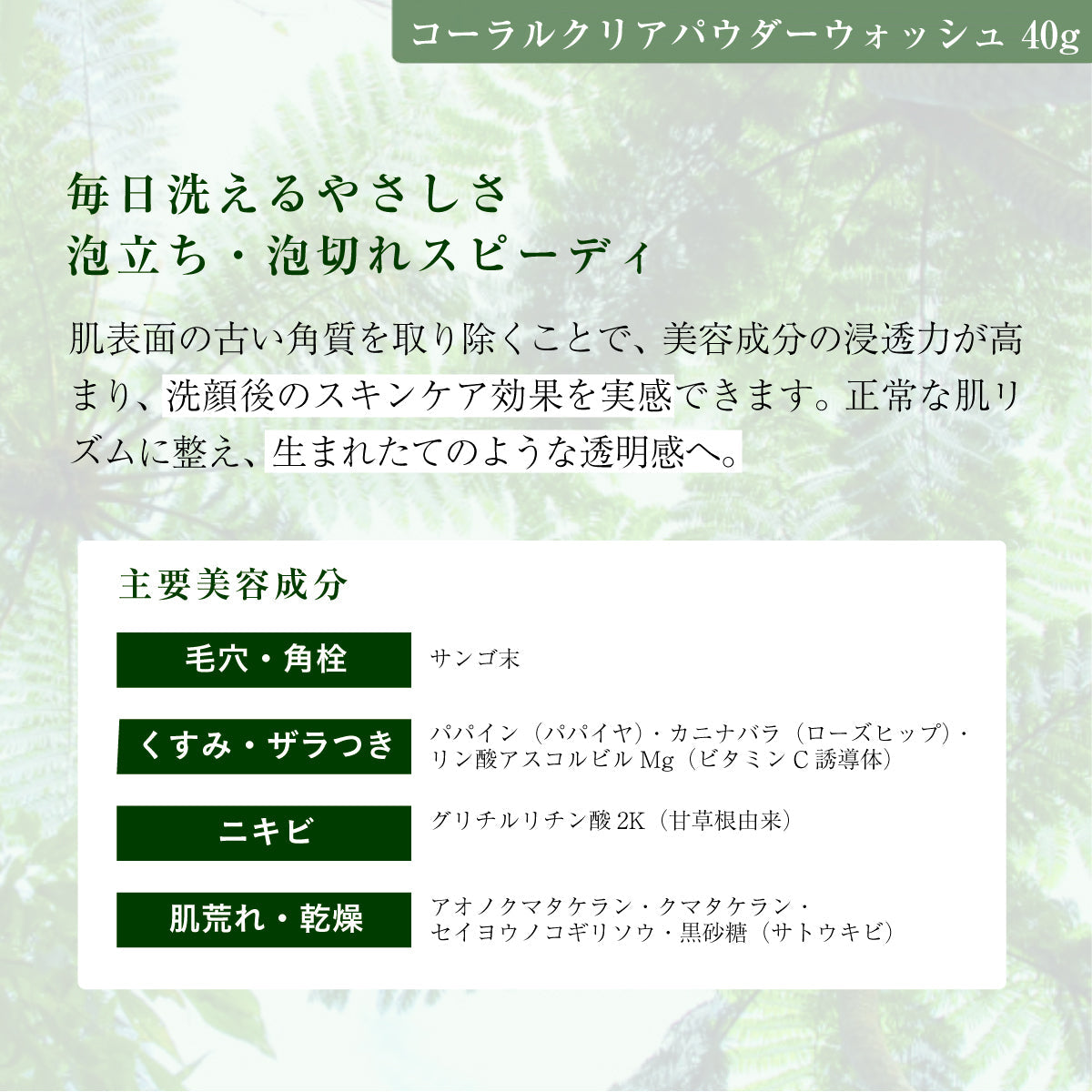 アルファピニ28 コーラルクリアパウダーウォッシュ 40g & ECO泡だてネット