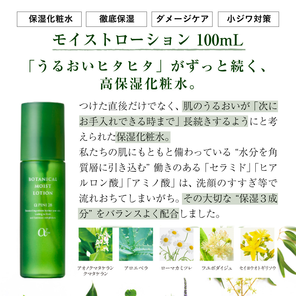 アルファピニ 28 モイストローション 100mL